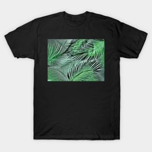 DECO FEATHER POSTER PALM DESIGN TROPICAL ART PRINT T-Shirt